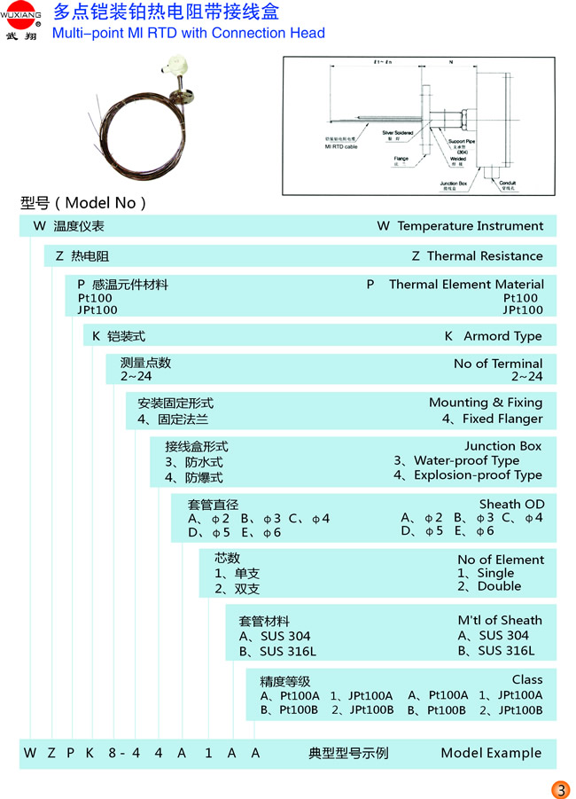 多點鎧裝鉑熱電阻帶接線盒